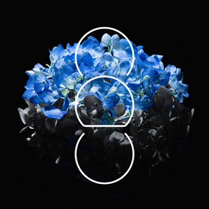 Moms丰满无码XXXXHD
